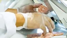 Photo: Processed Food Cutting