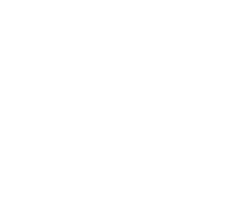 VISION