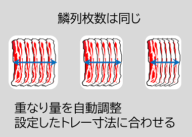 ジュピタートレイ